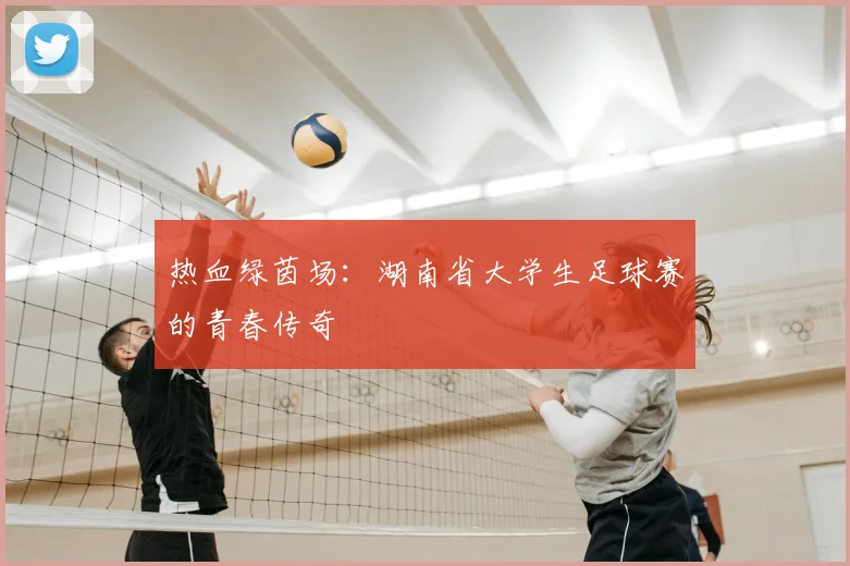 热血绿茵场：湖南省大学生足球赛的青春传奇